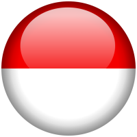 SIN4 - logo icon